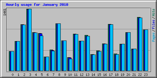 Hourly usage for January 2010